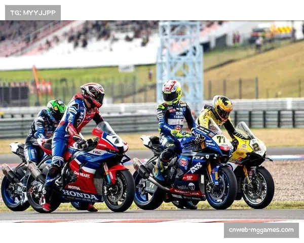 捷克与斯洛伐克宣布将联合申办2029年世界男子手球锦标赛